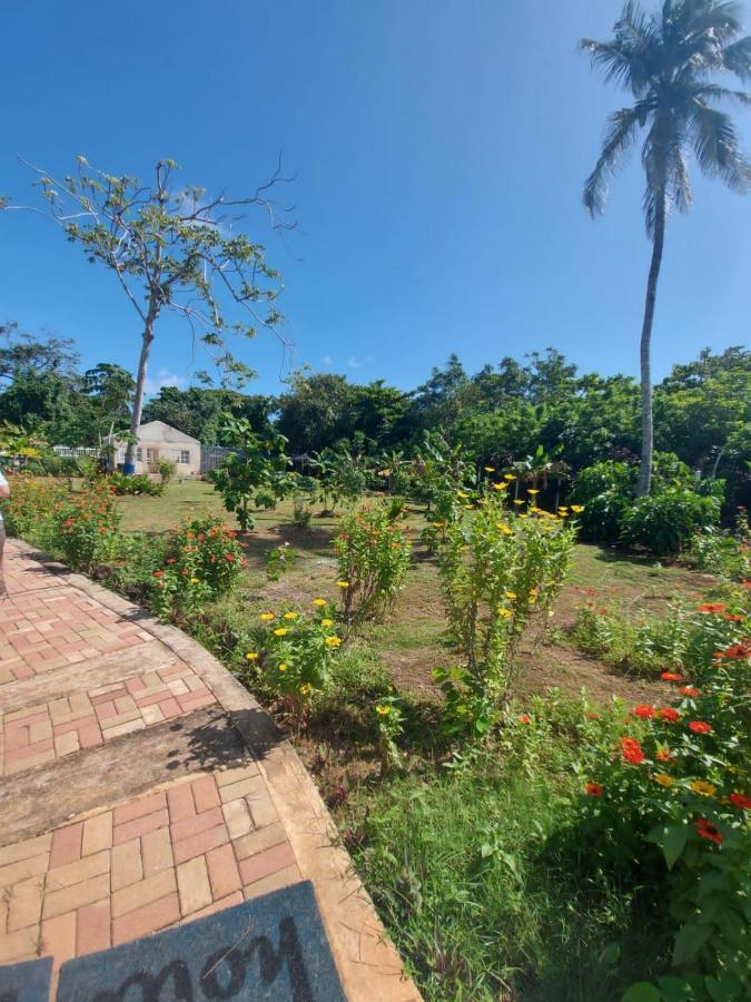 Blue Lizard House Villa San Andres  Exterior photo