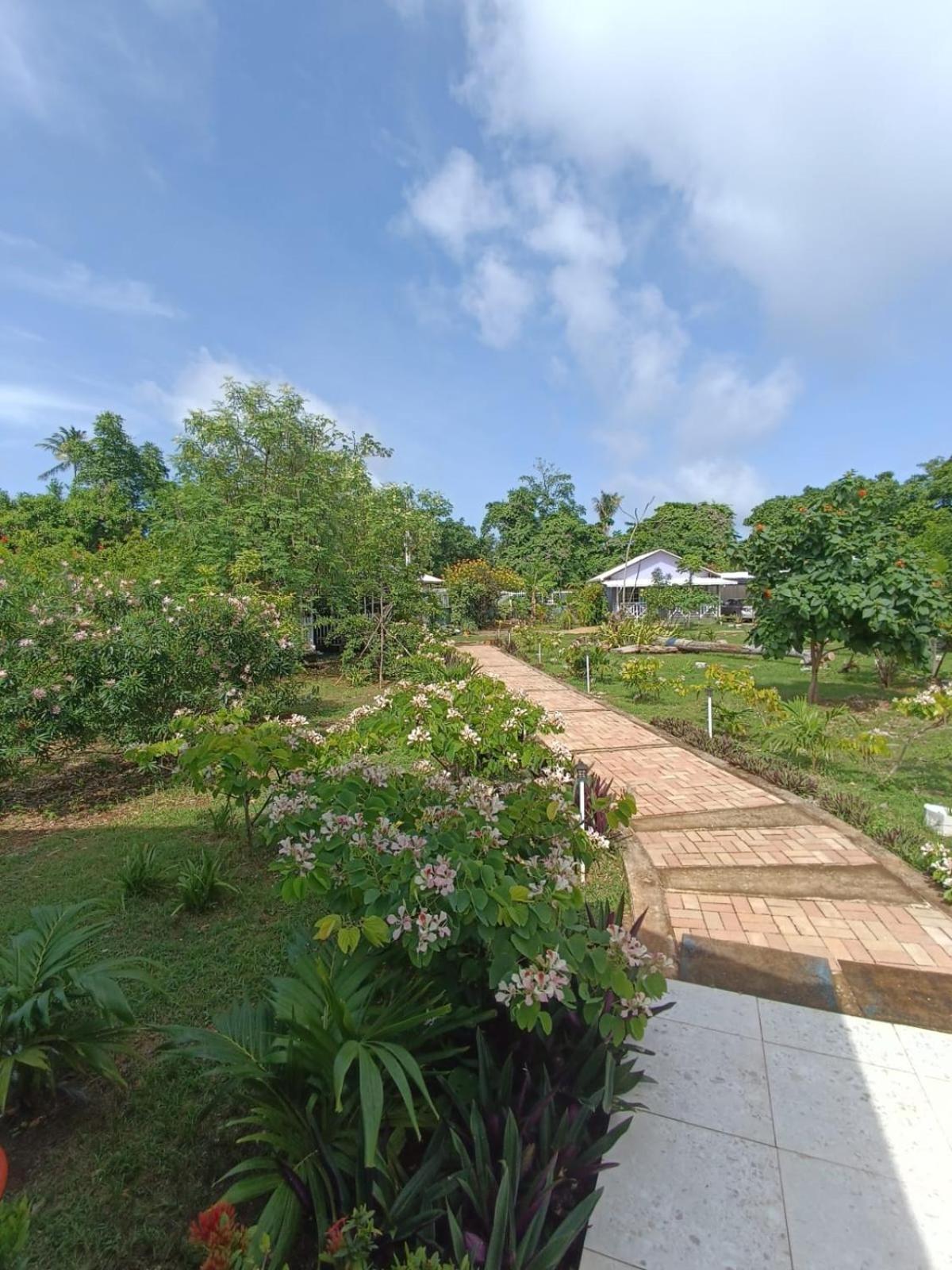 Blue Lizard House Villa San Andres  Exterior photo