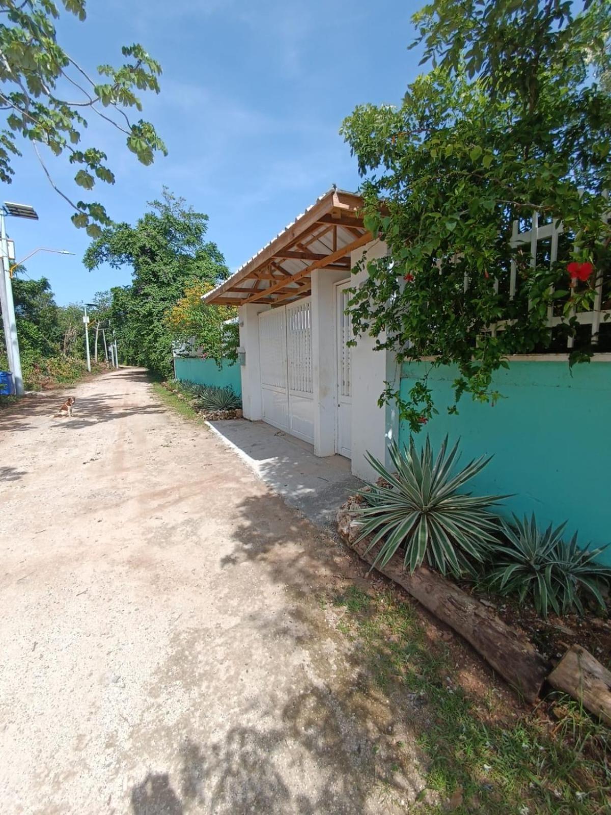 Blue Lizard House Villa San Andres  Exterior photo
