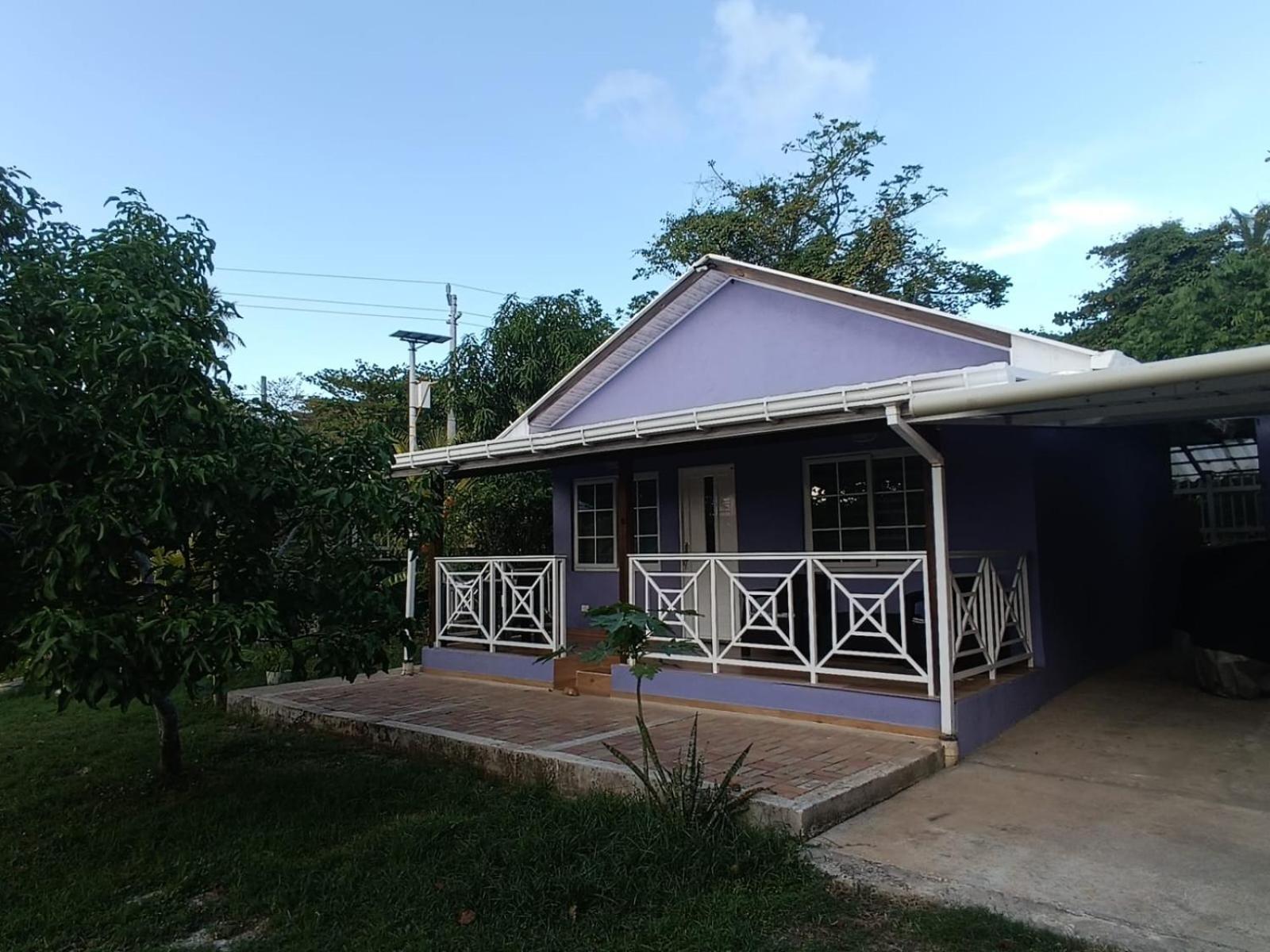 Blue Lizard House Villa San Andres  Room photo